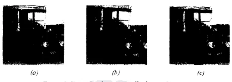 Figure 1. E':i.:ample of'geometrically distorted images. 
