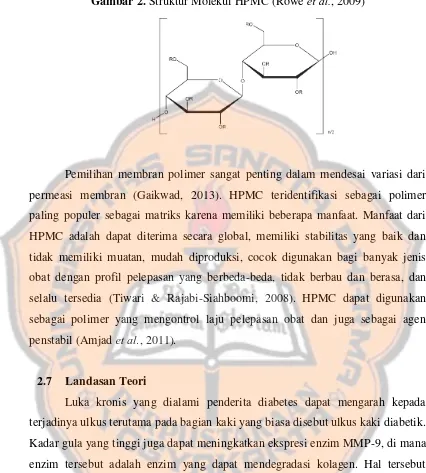 Gambar 2. Struktur Molekul HPMC (Rowe et al., 2009) 