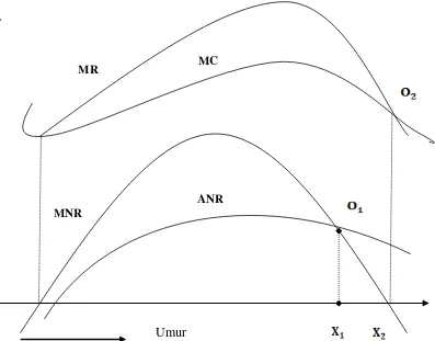 Gambar 1. Grafik hubungan antara umur dengan MR, MC, MNR dan ANR 