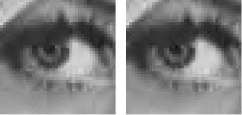 Figure 5. Original grayscale Lena image zoomed in to 400% (left) and the output image from DCT standard JPEG quantization (right)