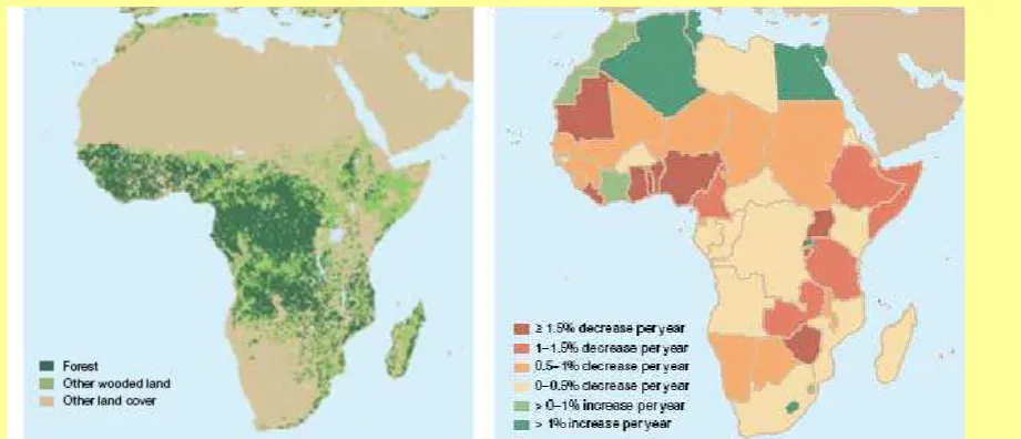 Figure 8 Extent of forest resources and forest change rate by country or area 2000 – 2005 (FAO, 2001) 