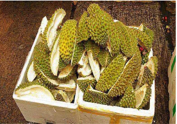 Gambar 2.1.Kulit Durian yang digunakan dalam penelitian. 