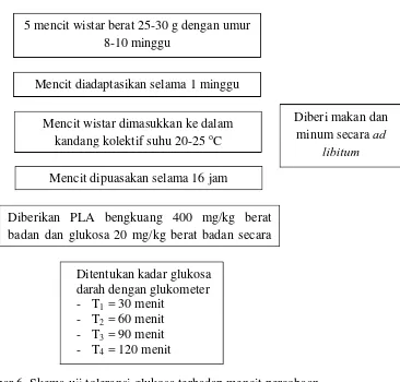 Gambar 6. Skema uji toleransi glukosa terhadap mencit percobaan 