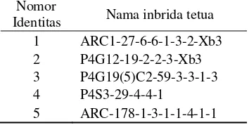 Tabel 3 Penomoran inbrida sebagai identitas 