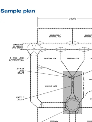 Figure 9 –  Sample layout of a simple cattle handling facility.