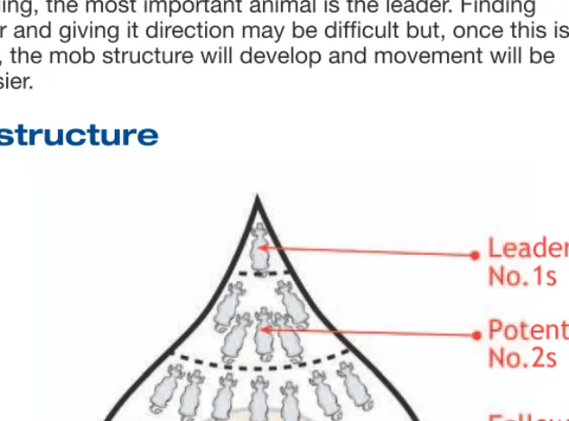 Figure 2. The structure of a mob.