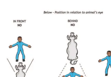 Figure 4. Always work on the side of the animals