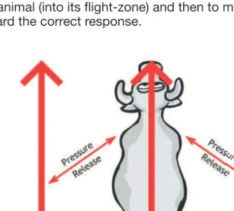Figure 5. Pressure and release