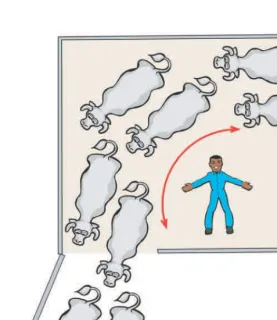 Figure 7. Using body position to move animals from a yard.