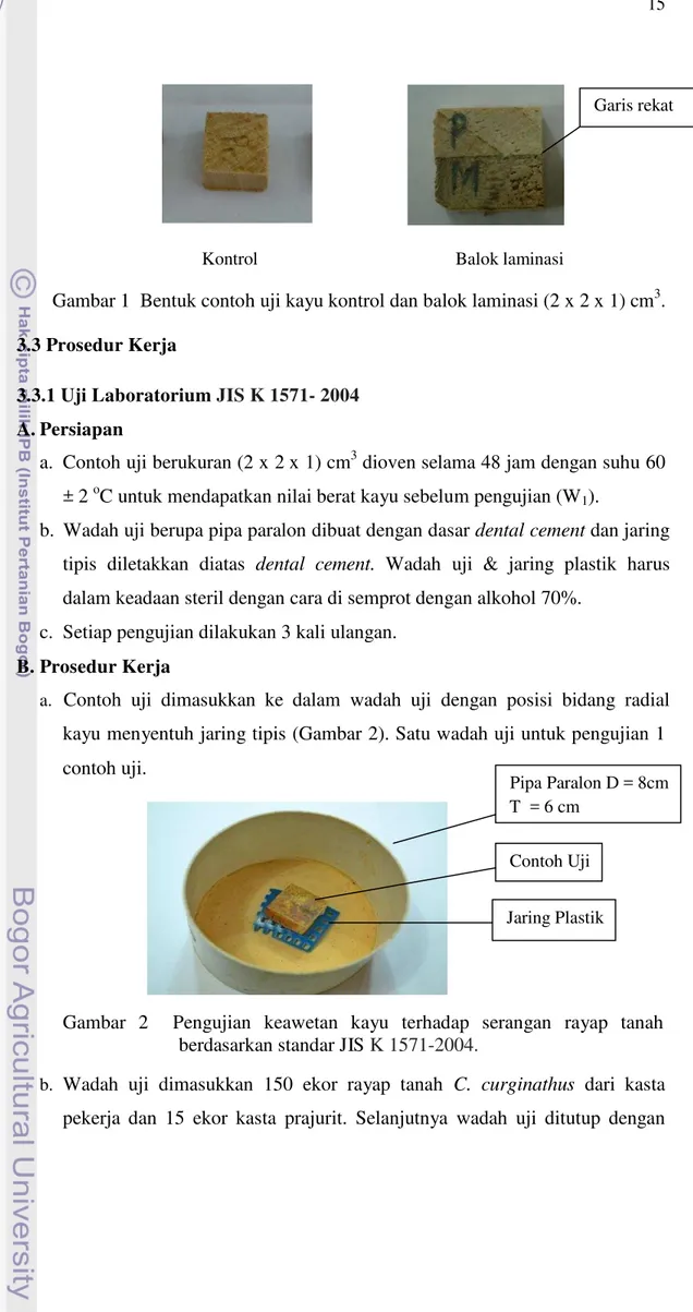 Gambar 1  Bentuk contoh uji kayu kontrol dan balok laminasi (2 x 2 x 1) cm 3 . 