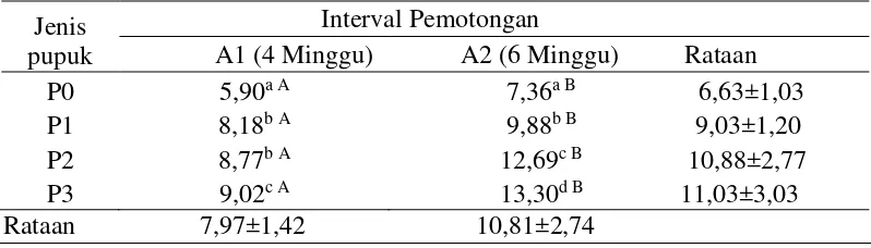 Tabel 7: Pengaruh jenis pupuk dan interval pemotongan terhadap produksi kering Pennisetum purpureum schamach  (g/pot/panen) 