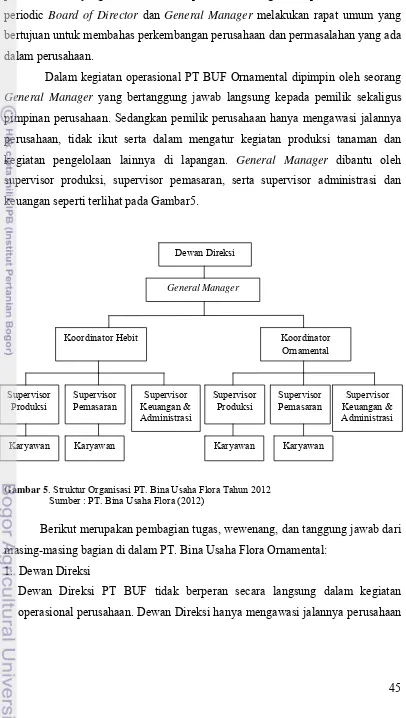 Gambar 5. Struktur Organisasi PT. Bina Usaha Flora Tahun 2012   