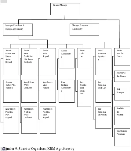 Gambar 9. Struktur Organisasi KBM Agroforestry 