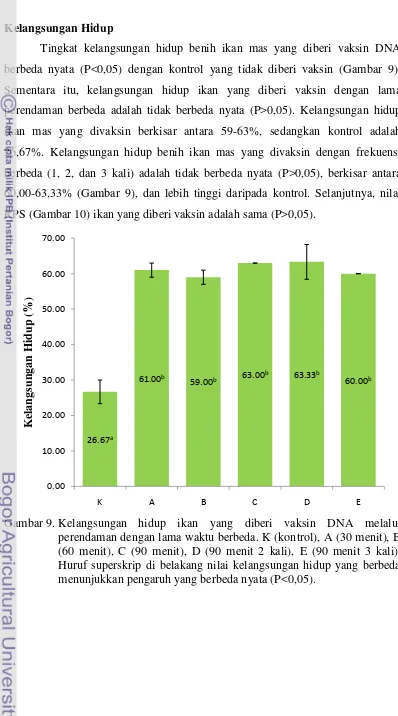 Gambar 9.  Kelangsungan hidup ikan yang diberi vaksin DNA melalui 