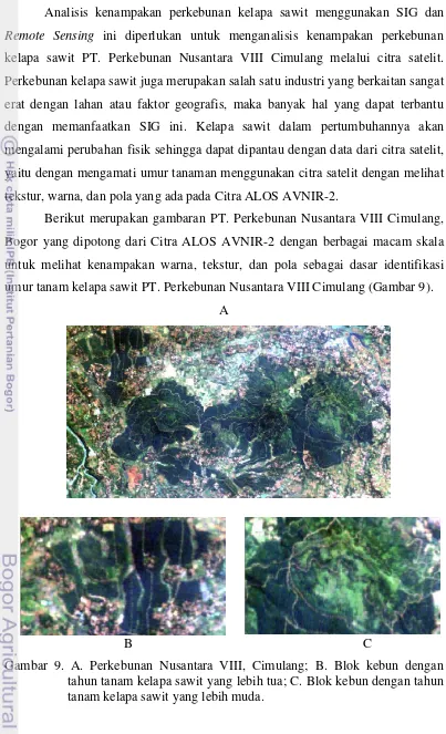 Gambar 9. A. Perkebunan Nusantara VIII, Cimulang; B. Blok kebun dengan 