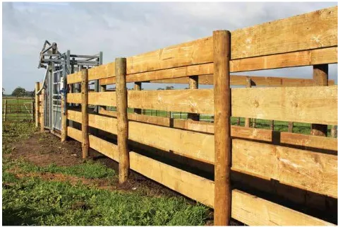Figure 2.18. Example of steel rail spacing for cattle yards. For a fence height of 1.7m, ive rails each 90mm wide are spaced 250mm apart