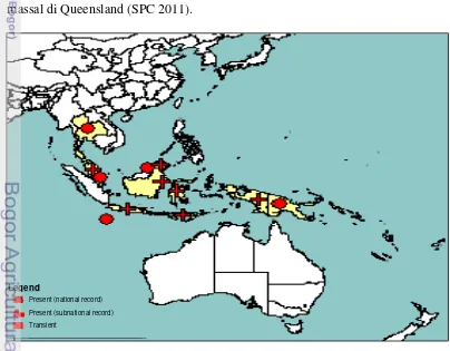Gambar 1 Peta persebaran B. papayae di Asia Tenggara (EPPO 2011) 