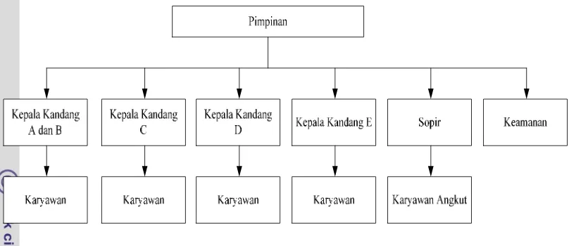 Gambar 9. Struktur Organisasi pada Peternakan Domba Tawakkal Tahun 2012  