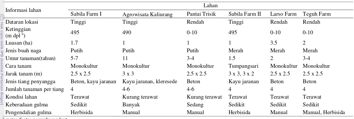 Tabel 4  Kondisi dan cara budidaya secara umum enam lahan pengamatan buah naga  