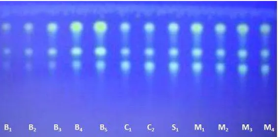Gambar 1. Kromatogram hasil identifikasi senyawa kurkuminoid secara kromatografi yang dilihat pada UV366