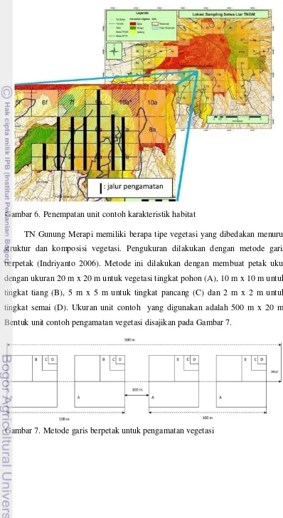 Gambar 6. Penempatan unit contoh karakteristik habitat 
