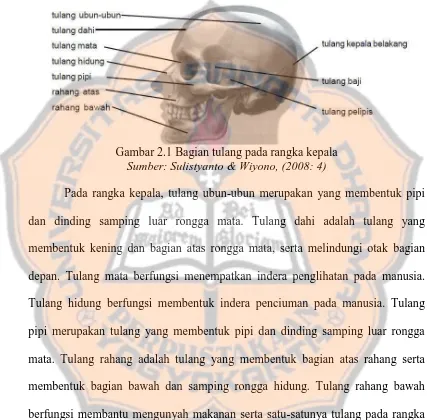 Gambar 2.1 Bagian tulang pada rangka kepala Sumber: Sulistyanto & Wiyono, (2008: 4) 