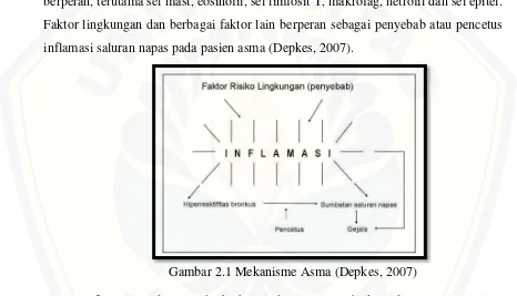Gambar 2.1 Mekanisme Asma (Depkes, 2007) 
