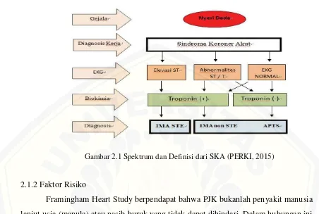 Gambar 2.1 Spektrum dan Definisi dari SKA (PERKI, 2015) 