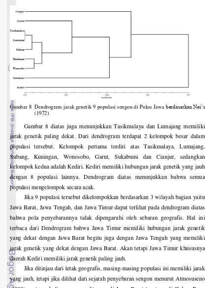 Gambar 8 diatas juga menunjukkan Tasikmalaya dan Lumajang memiliki 