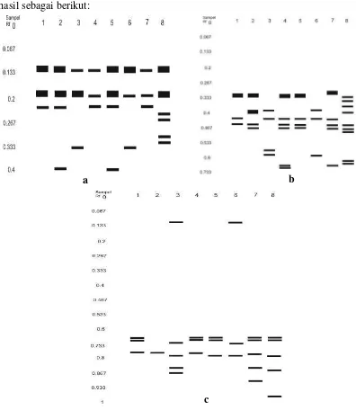 Gambar 3. Zimogram 8 Sampel Xanthosoma spp dari Tiga Lokasi Berbeda Berdasarkan: a. Pewarna Esterase, b.Glutamat Oksaloasetat Transaminase (GOT) dan c