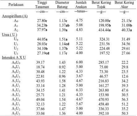 Tabel 4. Pertumbuhan dan produksi tanaman akibat pemberian Azospirillum carrier kompos dan urea serta interaksinya 