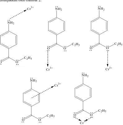 Gambar 2. Kemungkinan struktur kompleks Cr(III)–benzokain 