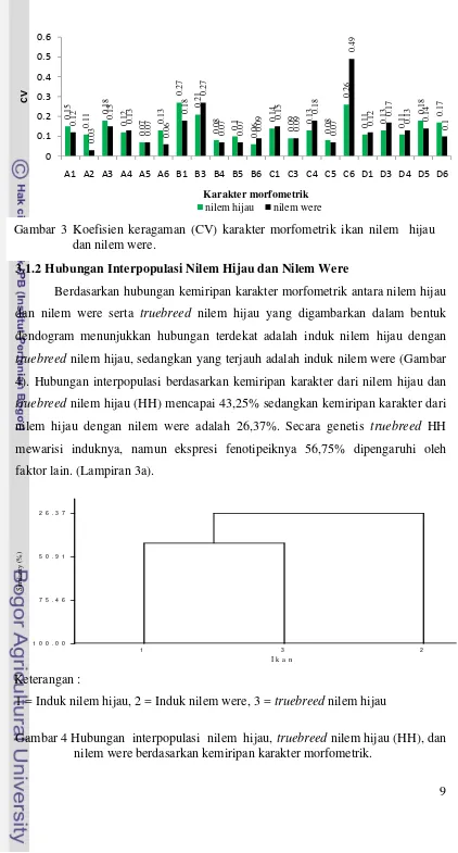 Gambar 3 Koefisien keragaman (CV) karakter morfometrik ikan nilem  hijau 