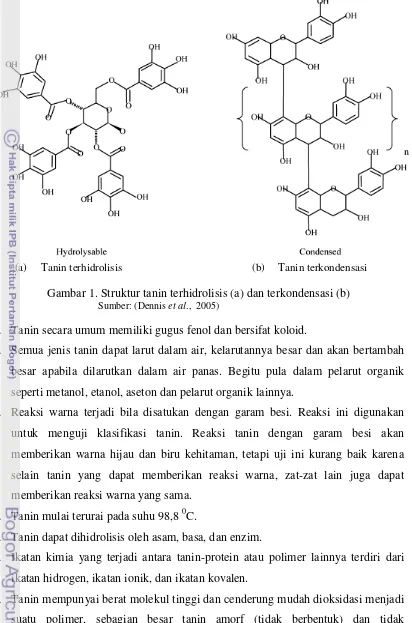 Gambar 1. Struktur tanin terhidrolisis (a) dan terkondensasi (b) 