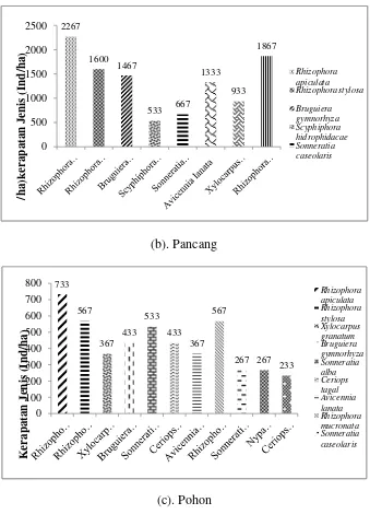 Gambar 12. Kerapatan jenis mangrove di Stasiun II   (a). Semai, (b) Pancang dan (c) Pohon 