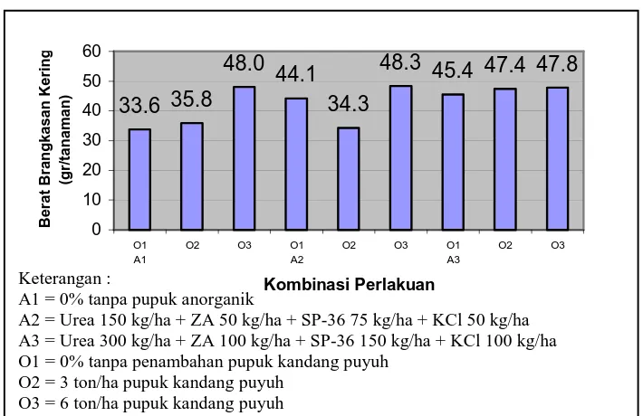 Gambar 4.7 Rerata berat brangkasan pada berbagai perlakuan pupuk anorganik dan pupuk Kandang Puyuh Dari gambar 4.7