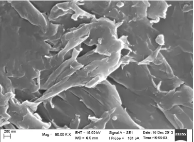Gambar 4.3 Hasil SEM Kitosan Nanopartikel Dengan Perbesaran 50.000 x 