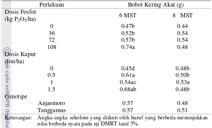 Tabel 5   Pengaruh pupuk fosfor, pupuk kapur dan genotipe terhadap rata-rata bobot kering akar umur 6 dan 8 MST 