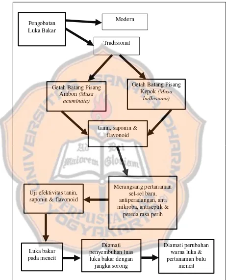 Gambar 2.5 Diagram alir kerangka berfikir 