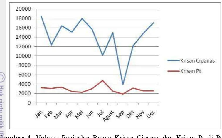 Gambar 1. Volume Penjualan Bunga Krisan Cipanas dan Krisan Pt di Pasar 