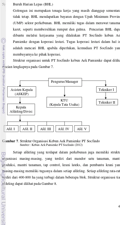 Gambar 7. Struktur Organisasi Kebun Aek Pamienke PT Socfindo 
