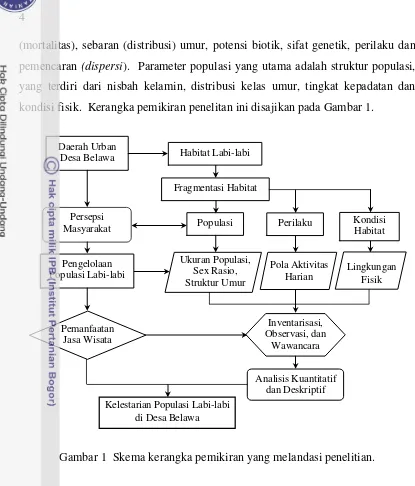 Gambar 1  Skema kerangka pemikiran yang melandasi penelitian. 