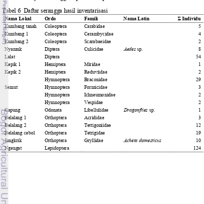 Tabel 6  Daftar serangga hasil inventarisasi  