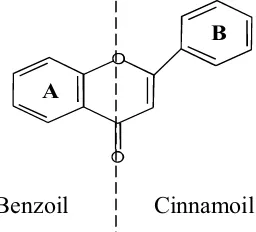 Gambar 2. Kerangka flavonoid cincin benzoil dan cinnamoil (Mabry, et al., 1970) 