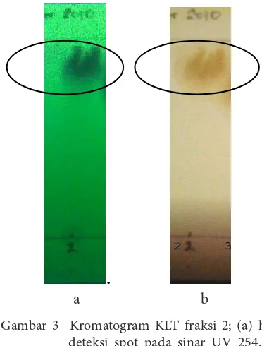 Gambar 3  Kromatogram KLT fraksi 2; (a) hasil deteksi spot pada sinar UV 254. (b) hasil           (a)                 (b)  Gambar 3  Kromatogram KLT fraksi 2; (a) hasil hasil deteksi   spot dengan penampak deteksi spot pada sinar UV 254