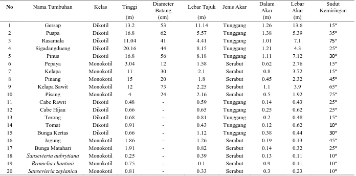 Tabel 2. Perbandingan Karateristik Perakaran Tumbuhan Monokotil dan Dikotil Yang Diteliti Berdasarkan Tinggi, Diameter, Lebar Tajuk, Lebar Akar, Dalam Perakaran dan Sudut Kemiringan Perakaran Terhadap Bidang Horisontal