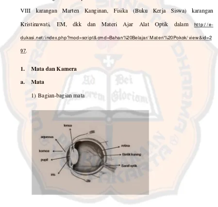 Gambar 1. Bagian-bagian Mata 