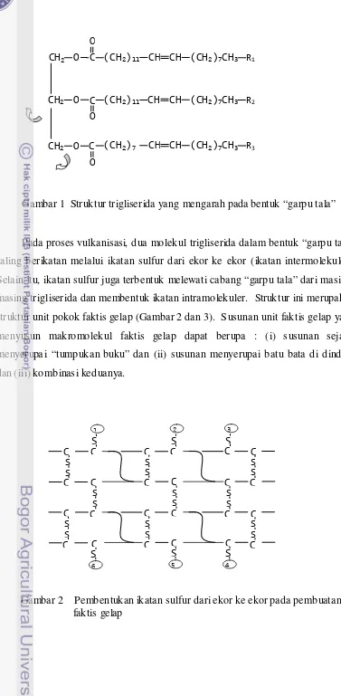 Gambar 1  Struktur trigliserida yang mengarah pada bentuk “garpu tala”   