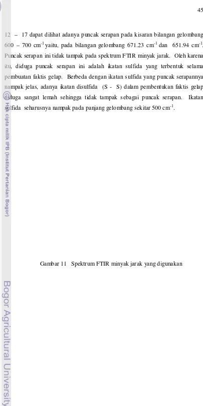 Gambar 11   Spektrum FTIR minyak jarak yang digunakan 