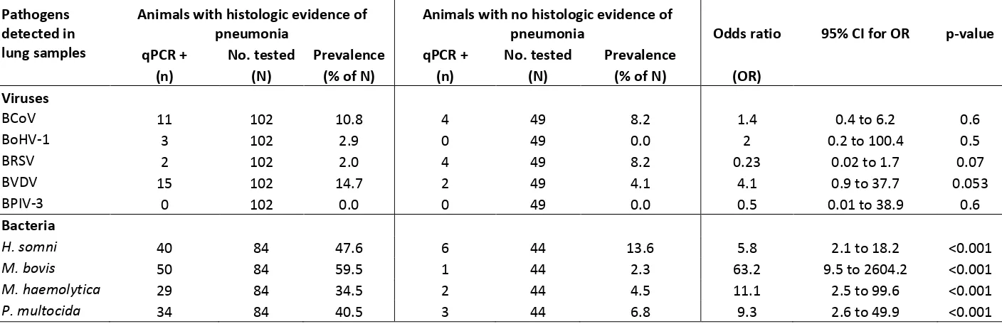 Table 7: Summary of results of qPCR detection of specific genetic material in lung samples for viral pathogens from 151 animals and for bacterial pathogens from 128 animals